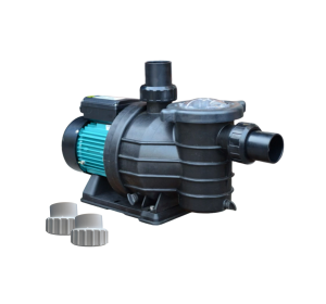 pompe filtration 1cv