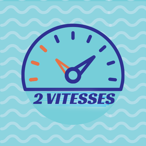 Pompe 2 vitesses