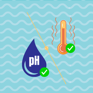 Efficace à pH et température élevés